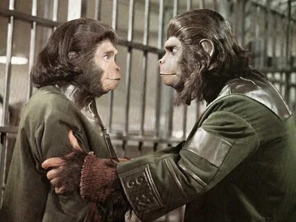 Stills - Escape from the Planet of the Apes