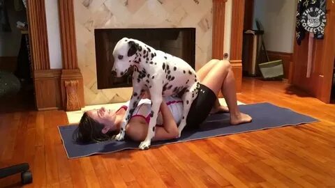 Dalmatian Interrupts Yoga Session Videsta.com