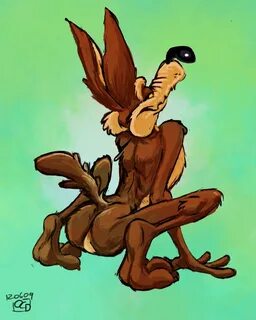 597 Best Wile E Coyote Looney Tunes Images On - Madreview.ne