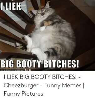 🐣 25+ Best Memes About Big Booty Bitches Meme Big Booty Bitc