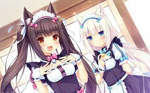 3200x1800px, 2K free download Neko Para, nekomimi, pretty, d