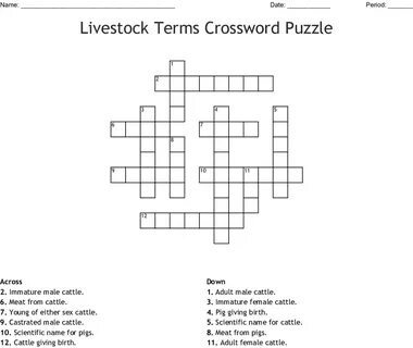 Livestock Breeds Crossword Answers - Livestock Info