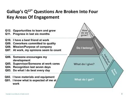 Gallup`s Q12 ® Questions Are Broken Into Four Key Areas Of