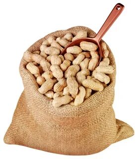 SACK of RED PEANUT KERNELS CUT OUT Stock Photo - Image of go