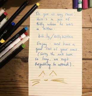 Cat Brings Its Parents A Note From The Neighbors He Visits, 