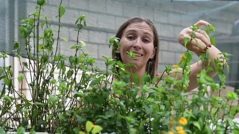 World Naked Gardening Day 2016 : Gardeners World - YouTube