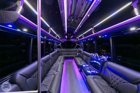 20 Passenger Party Bus Dream Limousines, Inc: online reserva
