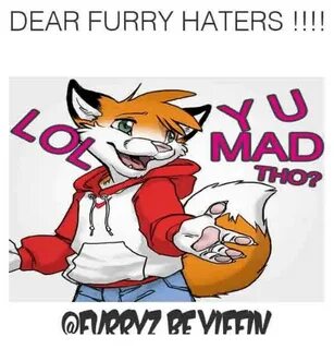 DEAR FURRY HATERS Dank Meme on astrologymemes.com