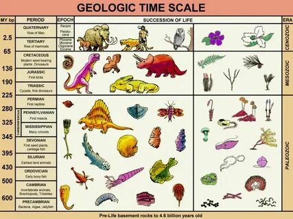 Geologic Time Scale Model Related Keywords & Suggestions - G