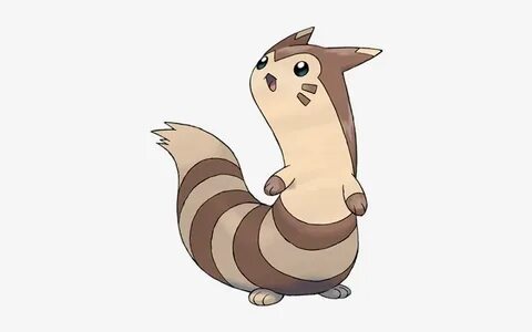 Httpassets - Pokemon - - Furret Pokemon - 475x475 PNG Downlo