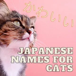 Cute japanese girl cat names