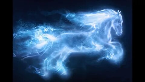 Harry Potter's Patronus Related Keywords & Suggestions - Har