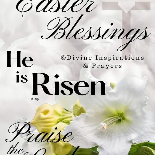 May be an image of flower and text that says 'Easter Blessings He © Di...