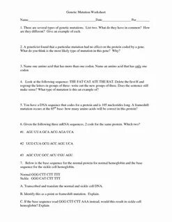 Dna Mutations Practice Worksheet Answer Lovely 19 Best Of th