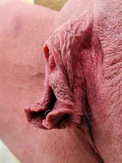 Meaty labia - Fetish Porn Pic