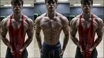 How To Build A Model Physique Mike O'Hearn David Laid Chest 