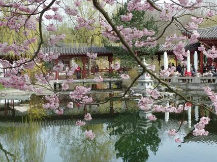 Gärten Der Welt Marzahn Kirschblütenfest Für einen stilvolle