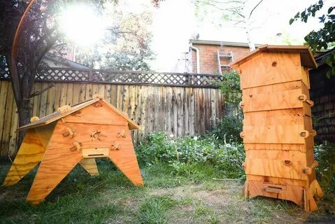 DIY Beekeeping: Download and Print a Smart Beehive Kit