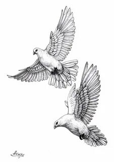 dove sketch - Besko