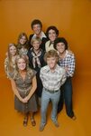 Your Guide to 'The Brady Bunch Variety Hour' The brady bunch