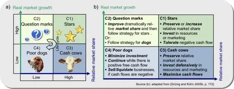 The Boston Consulting Group Matrix (a) and Norm Strategies (