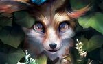 Cute Fox Wallpapers - 4k, HD Cute Fox Backgrounds on Wallpap