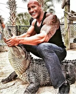 Pin by Harsha Satwani on THE ROCK Dwayne johnson, The rock d