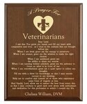 Veterinarian Prayer Plaque Vet DVM Gift Personalized Etsy