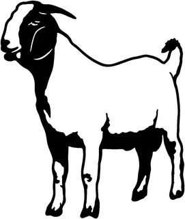 İllustration of Boer Goat Silhouette free image download