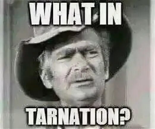 Best Jed Clampet Quotes / Pin on Funny stuff / I'm jed clamp