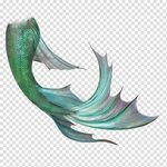Mermaids Tail Mis Pedidos shop, green fish tail illustration