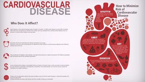Cardiovascular disease essay