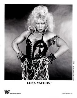 Photo 73 of 744, WWF / WWE P-Series Promo Photos