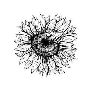 Sunflower Clipart Stock Illustrations - 3,007 Sunflower Clip