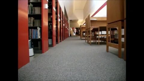 Library Run: Free Solo Man Porn Video 94 - xHamster xHamster