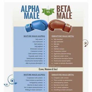 Alpha male vs beta male? Self improvement tips, Male, Neurol