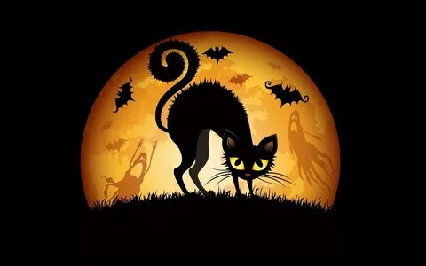 Halloween Cat Desktop Related Keywords & Suggestions - Hallo
