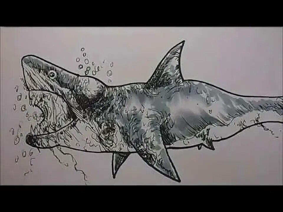 How To Draw A Zombie Shark - YouTube