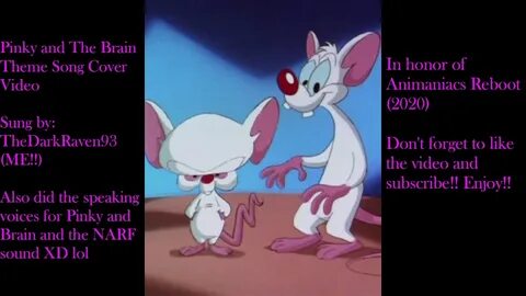 Pinky and The Brain Theme Song Cover Video - YouTube