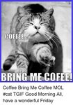 COFFEE BRING ME COFEF Coffee Bring Me Coffee MOL #Cat TGIF G
