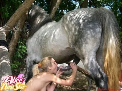 Horse Porn collection, Girl vs Horse Sex