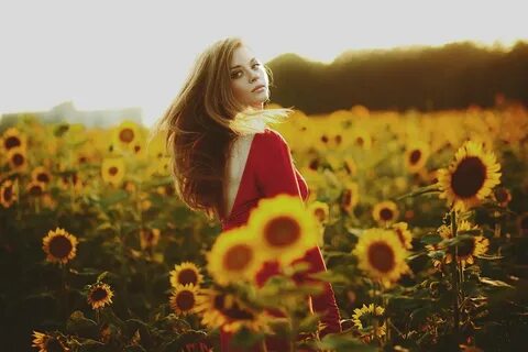 500px / Beloved by Thanh Tran Sunflower field pictures, Sunf