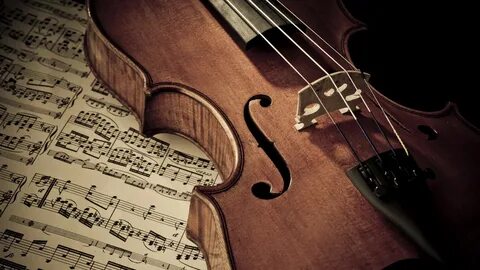 Wallpaper : musical instrument, viola, viol, close up, pluck