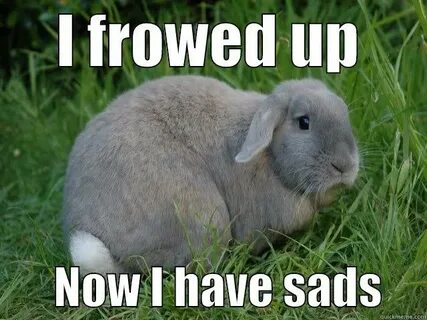 sad bunny - quickmeme