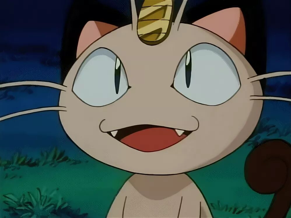 Anime pokemon meowth GIF - Find on GIFER