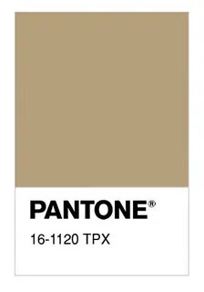 Resultado de imagen de pantone TPX 16-1120 Pantone