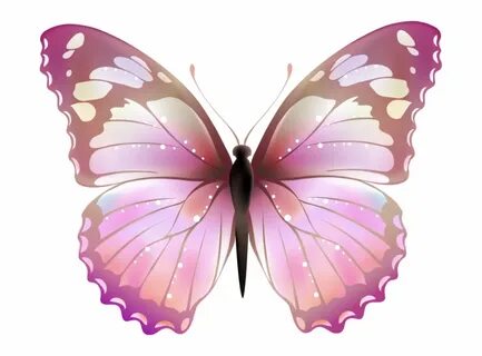 Free Pink Butterfly Png, Download Free Pink Butterfly Png pn