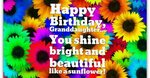Happy Birthday Cards & Messages - Grand Daughter Birthday Wi