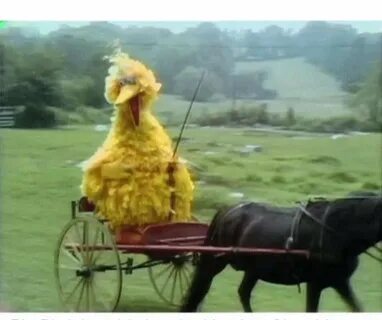 Big Bird in Carriage Latest Memes - Imgflip