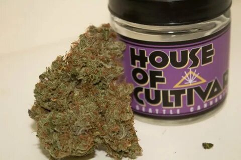 A Review of House Of Cultivar's Blackberry Cookies Strain